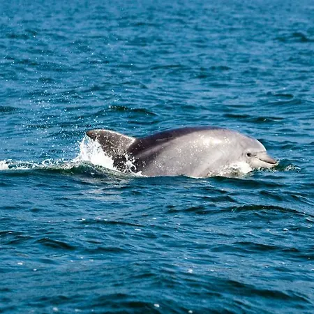 Cruceiro A Lanzada Sanxenxo